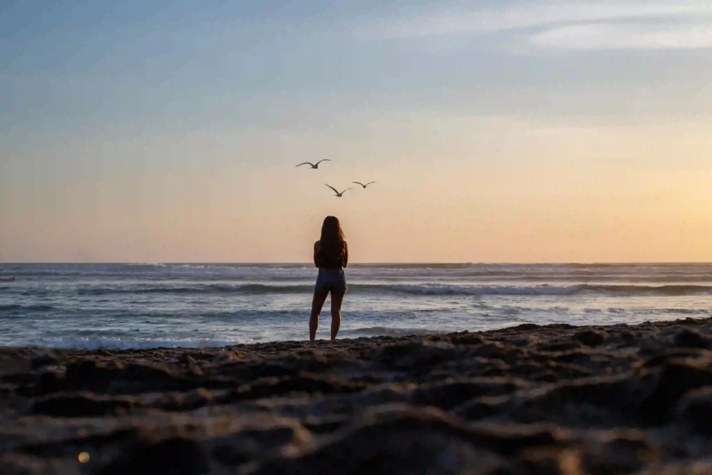 Your Complete Guide to Legal Services in Bali: Expert Lawyers for Corporate, Real Estate, and International Matters